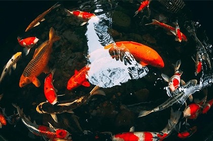 老黄历2023年黄道吉日搬家,2023日历表有黄道吉日