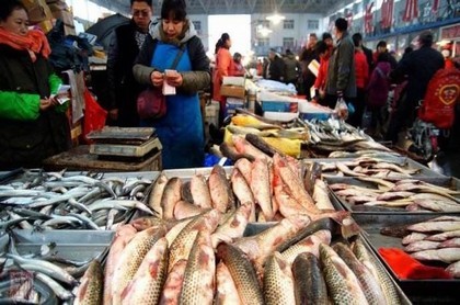 12星座每周运势下周运势,星座屋每日运势