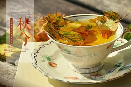 2023年生肖羊1979运势大全,1979年属羊人运势