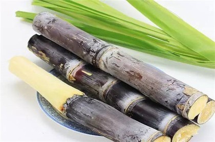 走壬子大运,庚金走什么大运好