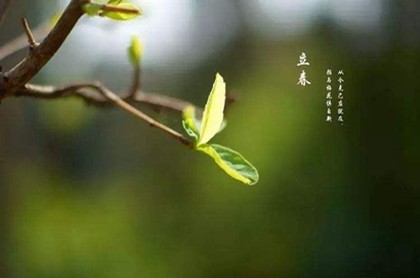 和双鱼座的沟通方式,双鱼座最强境界