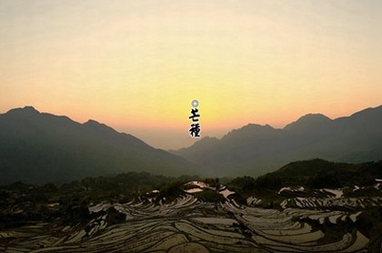 02年属马本命年是哪一年,2002年属马的姻缘在哪年