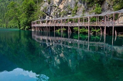 1976年阳历11月17日是什么星座,星座是按阴历还是阳历