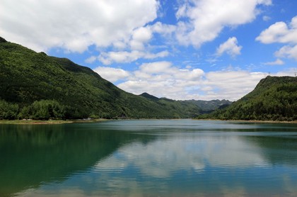 生肖龙在2023年的运势,属龙未来5年运势走向