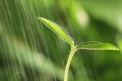 汽车牌号测吉凶查询可信吗,车牌号测吉凶网可信吗
