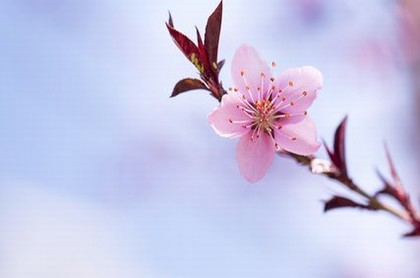 黄大仙灵签第60,黄大仙灵签第四签