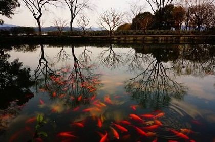 观音灵签4签解签精髓,姻缘第四签解签求解