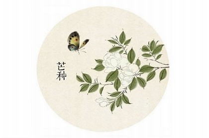 黄岩哪里算命比较准,一个算命先生的忠告