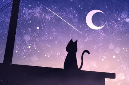 双鱼座与什么星座最不配,射手座和什么星座最配