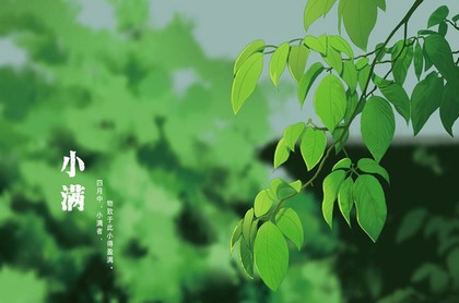家里虫子多风水怎么说,家里风水不好的征兆