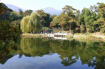 公司名字吉凶测试查询老黄历,老黄历测公司名吉凶