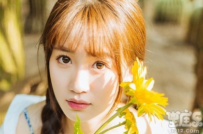 正宗杨公风水的知识大全,杨公风水基础