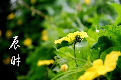 起名打分查询李保瑞98年2月3日,起名大全