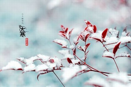 为什么有缘分才能相遇,两个人有缘分的表现