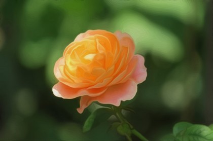 2023年11月14日结婚吉日,11月黄道吉日一览表