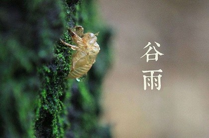 五行属土的行业有哪些职位,五行土代表什么
