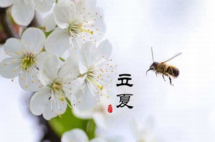 周易的一般组成部分是,周易是由哪两部分组成