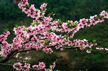 称骨几斤几两算命法2023表,女版称骨算命对照表