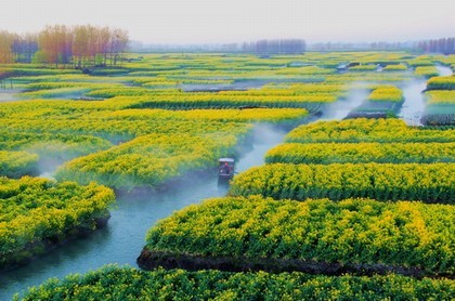 白羊免费在线听,白羊男特别听你的话