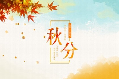 免费生辰八字测车牌号,车牌号码测吉凶八字
