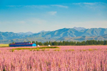虎年对属蛇的好不好,蛇遇虎年2023年