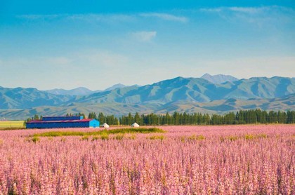 虎年对属蛇的好不好,蛇遇虎年2023年