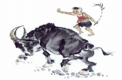 蛇跑进家里有什么预兆,蛇进家里是什么预兆该怎么处理