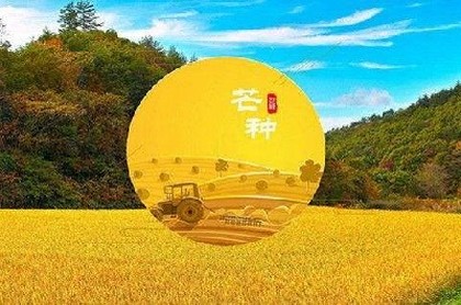 五行土太多怎么补救,五行土多的女人婚姻运