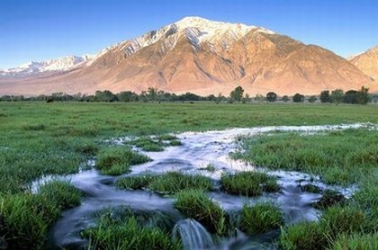 明年什么属相的会犯太岁,四种太岁哪个最严重