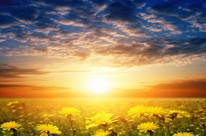 2023年犯太岁最严重的是几月,2023年下半年冲太岁月份
