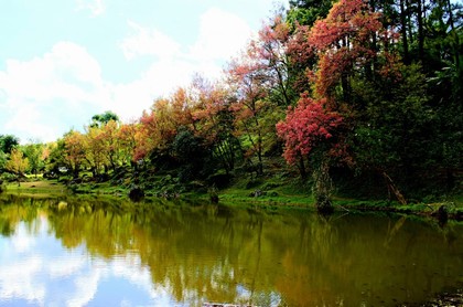 风水宝地凤凰地形图,发横财风水宝地地形图