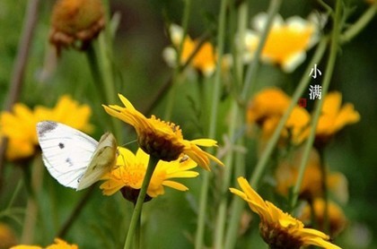 十二星座男命中注定,12星座女纠缠一辈子的星座男