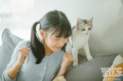 信达利排盘网怎么样,信达利排盘网络版
