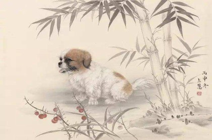 父母子女八字不合,八字不合害了多少情侣