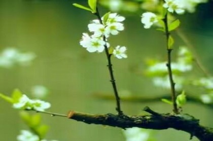 属火的五行字有哪些字男孩,婴儿取名字五行缺火