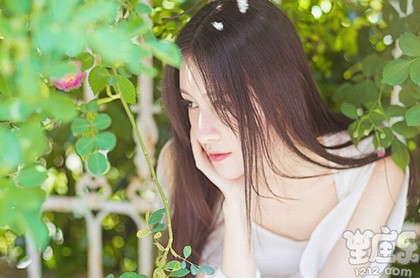 二月属龙的女人命运,属龙的女人命运怎么样
