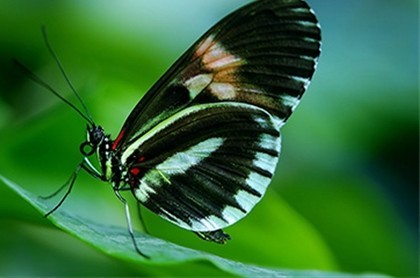 杀破狼星座运势2023年12月,2023年星座运势