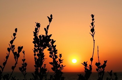 良辰与吉日的区别,2023年万年历黄道吉日