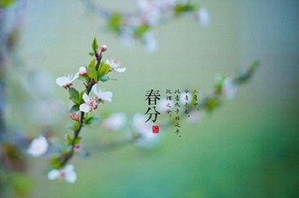 批八字包括哪些内容,批八字算命最准免费