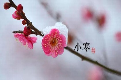 今年运程2023年,2023年属鸡人的全年运势
