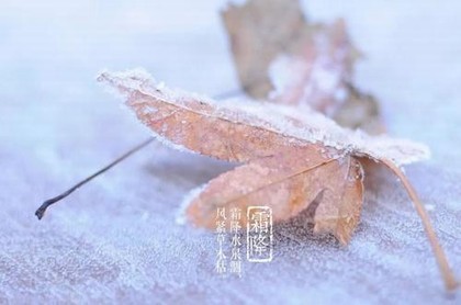 新寻仙宝盘石头怎么变卦象,寻仙新石头怎么改卦象
