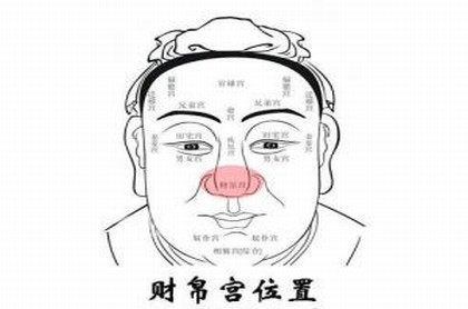 最喜欢小动物的星座,十二星座代表的动物