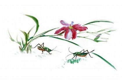 满了36岁还是本命年吗,属虎36岁本命年很可怕