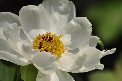 7月6日什么星座是什么,星座配对