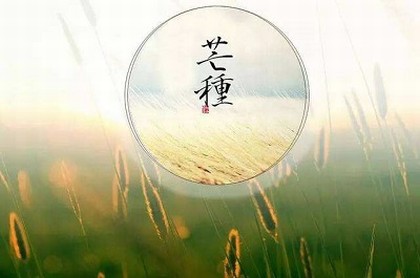免费取名字大全免费查询最新,取名网免费测名字打分