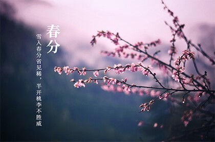 打死也拆不散的星座配对,一辈子会互相纠缠的星座
