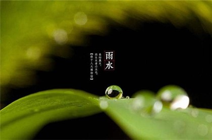 五行属木14画的字大全,五行15画属木的字大全