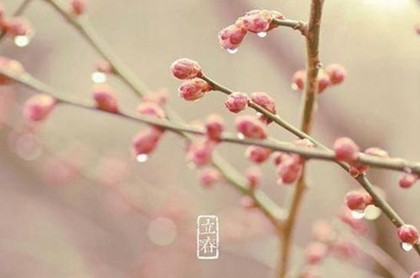 豪门最容易娶的星座女,男人抢着娶的星座女
