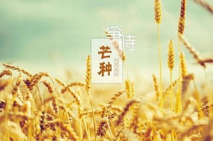 巨蟹女真正爱你的表现,巨蟹女爱上你三个阶段