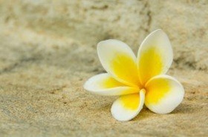 观音灵签在线抽签解签75,观音灵签100签